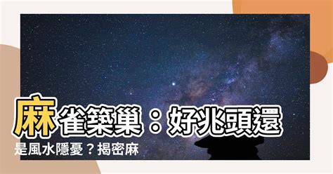 如何 讓麻雀 不要 來 築 巢|麻雀築巢風水：提升家居運勢的秘密武器【麻雀築巢風水】 – 香港。